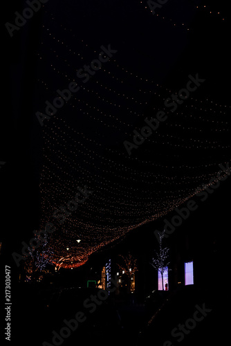Cuadro en lienzo Lights Christmas adorn the street at night creating a festive atmosphere during