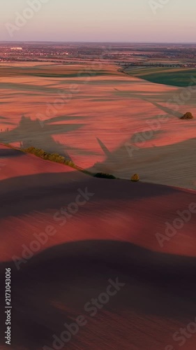 Vertical shot. Aerial view of agricultural fields with rolling hills and beautiful long shadows from trees and clouds during a colorful sunset, creating a picturesque and tranquil rural landscape