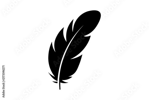 Foto feather on white background
