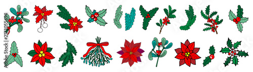 Set of Christmas bouquets. Hand drawn flat vector. Green spruce branch, red poinsettia flower, holly plant, mistletoe. Festive decoration. Holiday. Color illustration.