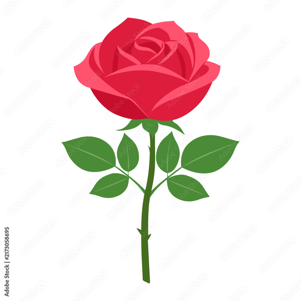 Obraz premium Red rose flower with green leaves and stem isolated on white background for graphic design