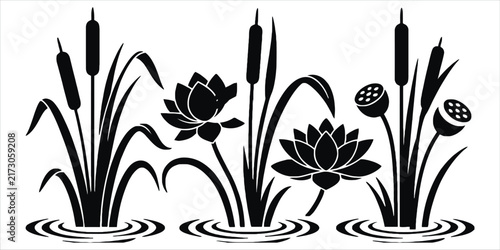 Black silhouette of lotus flowers, cattails, and lily pads in water, isolated on a white background, nature