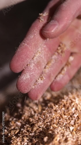 Vertical video. Close up of a worker's hand checking the quality of ground malt from a grist mill, a crucial step in the process of brewing beer at a modern craft brewery manufacturing plant