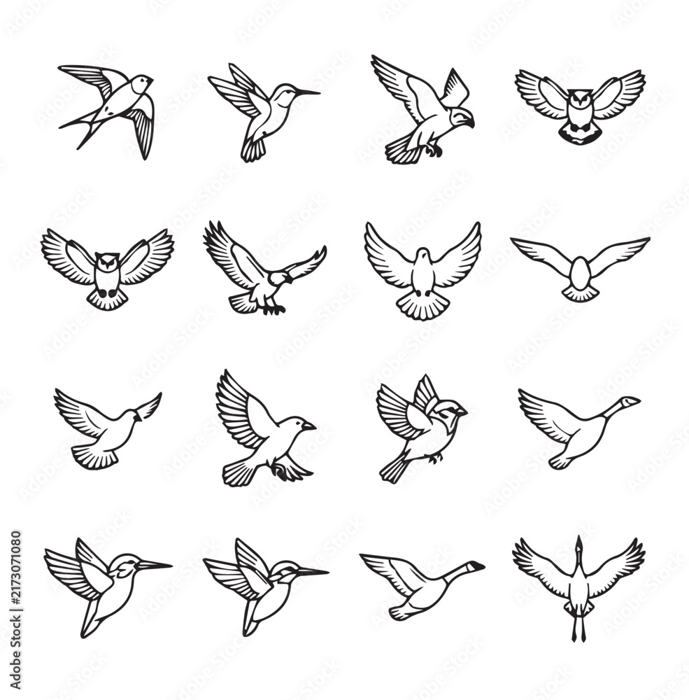 Naklejka premium Diverse bird silhouettes in flight during daytime with white backgrounds for graphic design elements