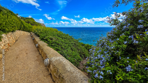 Turquoise sea bay with pine trees at Cala Romantica