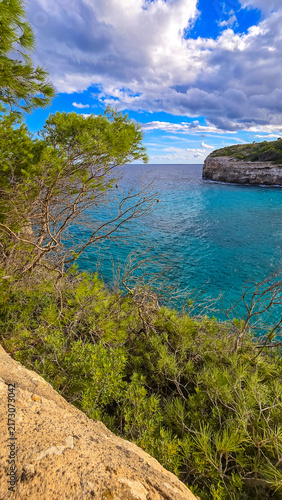 Turquoise sea bay with pine trees at Cala Romantica