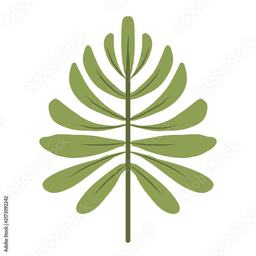 Stylized Green Compound Leaf Botanical Illustration