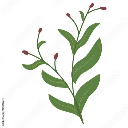 Green Leafy Branch with Small Berries Illustration