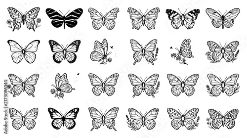 Realistic Butterfly Species Anatomy Wing Black Line Art Vector Icon Set 18