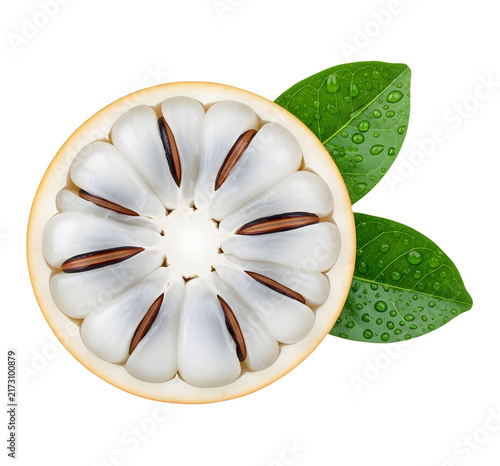 Santol fruit cross section with green leaves transparent background