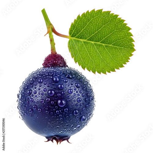 Single fresh ripe bilberry with green leaves on transparent background