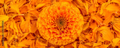A close-up view of a vibrant orange marigold flower in full bloom, its intricate petals forming a beautiful symmetrical pattern, set against a background of scattered marigold petals