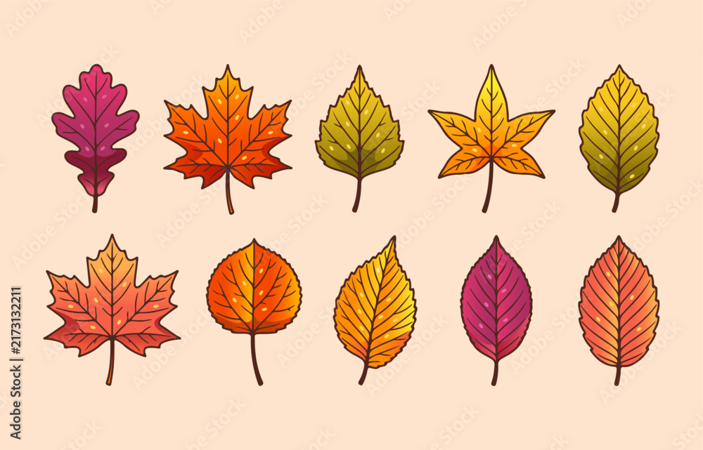 Fototapeta premium Set of autumn leafs decoration element