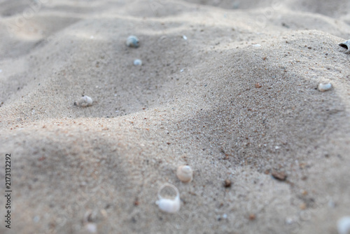 Konstfotografi Close-up of textured beach sand with small scattered seashells, highlighting gen