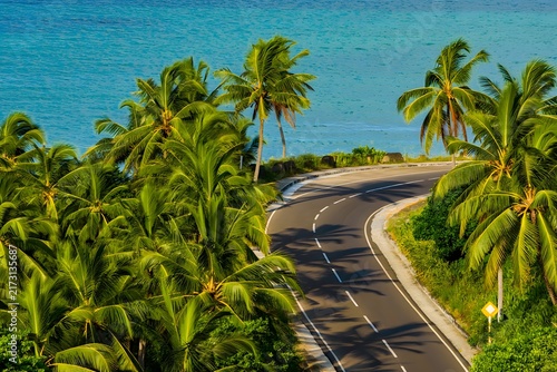 Scenic tropical coastal road curving through lush palm trees towards blue ocean