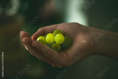 Hand holding a small bunch of fresh, ripe green grapes, showcasing healthy eating, organic food, and the concept of a natural, refreshing snack for well being