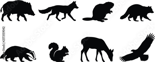 Black Wild Animal Silhouettes Collection Featuring Bear Fox Panther Gorilla and Eagle