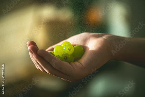 Hand holding a small bunch of fresh, ripe green grapes, covered in shimmering water droplets, highlighting concepts of natural freshness, healthy eating, and organic harvesting