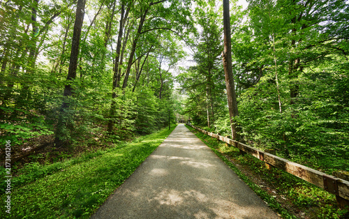 Hiking trail through Saratoga Spa State Park in Saratoga Springs, New York.
