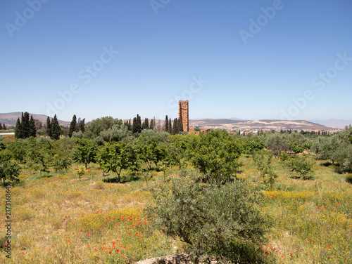 Obraz na plátne El Mansourah – Tlemcen, Algeria
Discover El Mansourah, one of Tlemcen’s most iconic historical sites in Algeria