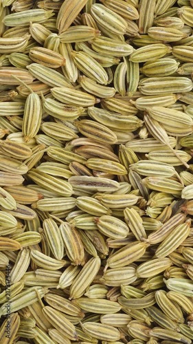 Fennel Seeds Rotating Smoothly in Macro. Close-up of dried fennel seeds turning slowly to reveal their ridged natural texture.