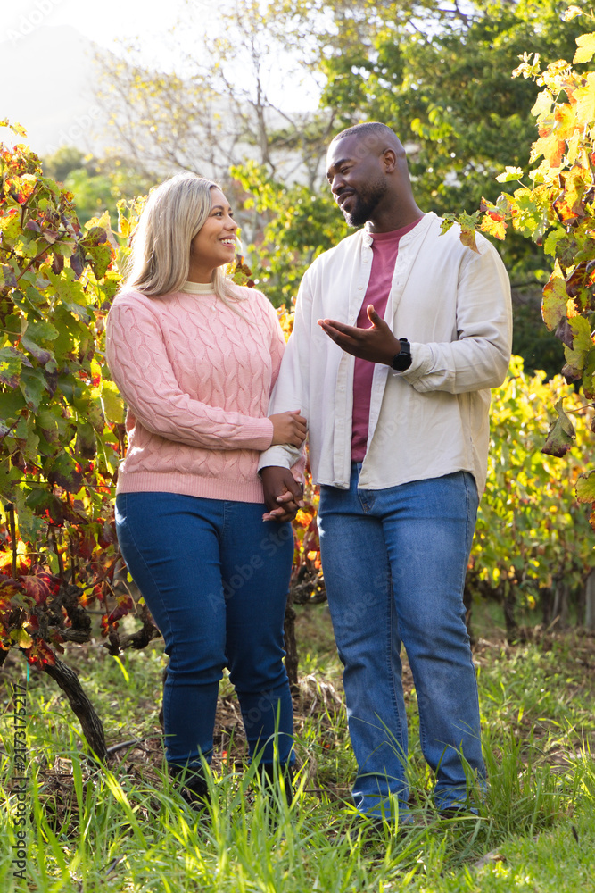 Fototapeta premium Couple walking holding hands in vineyard with trellis vines and fall foliage in jeans
