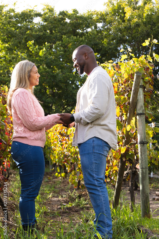 Fototapeta premium African American couple holding hands smiling in vineyard row among wooden trellis and wristwatch