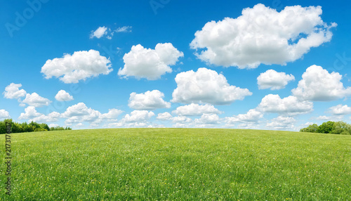 Pristine green meadow field under bright blue sky with fluffy white clouds