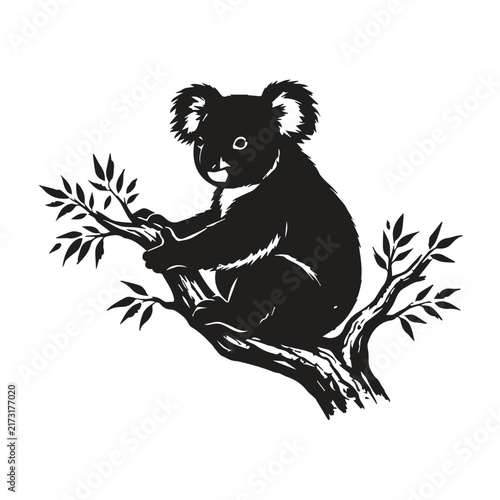 Photography Cute koala sitting on a eucalyptus tree branch in black and white illustration
