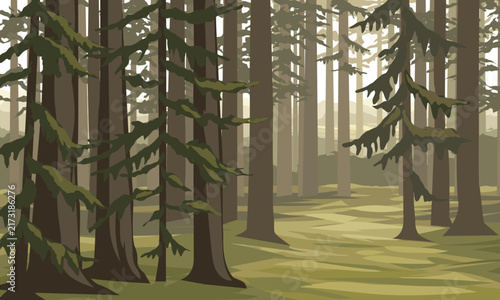 Sunlight filters through tall evergreen trees