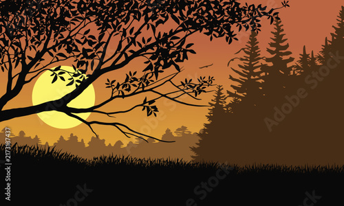 Silhouetted branches frame a golden setting sun