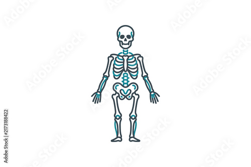 Minimal Human Skeleton Vector Illustration