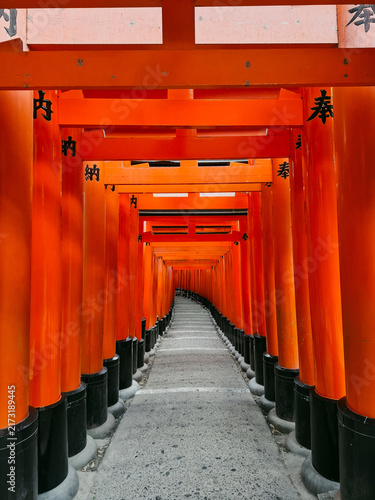 View of the iconic vermilion torii gates at Fushimi Inari Shrine, creating a long, narrow path with black bases and traditional Japanese inscriptions, Kyoto, Kyoto, Japan.