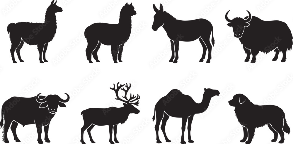 Fototapeta premium Domestic and working animals silhouette set featuring llama alpaca donkey yak buffalo reindeer camel and dog