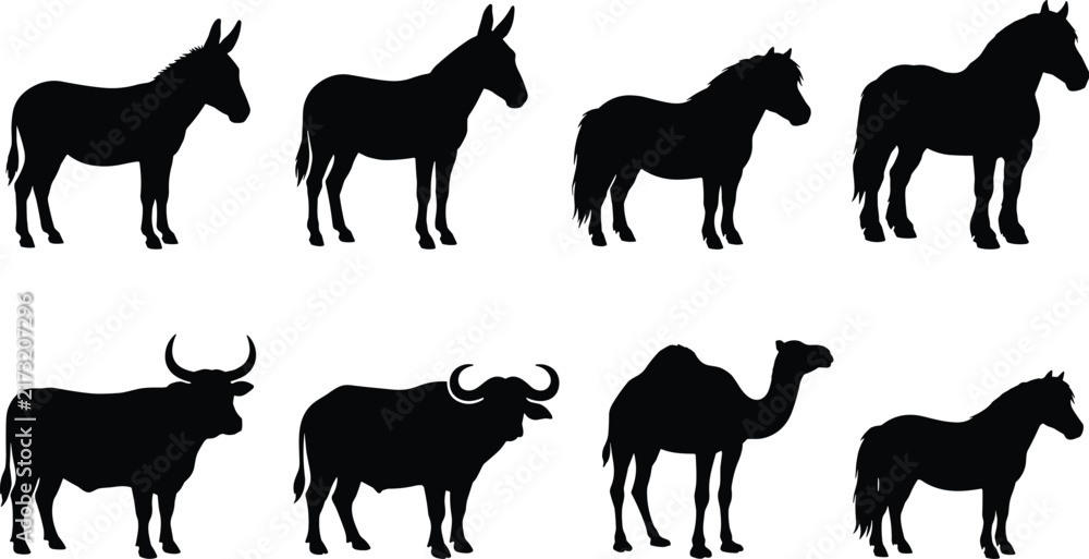 Obraz premium Domestic and working farm animals silhouette set featuring horse donkey bull buffalo pony and camel side view