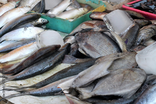Fresh Fish Display At Market Stall With Ice Blocks And Mixed Seafood For Sale