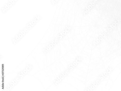 Halloween Spider Web Corner — Isolated on Transparent Background