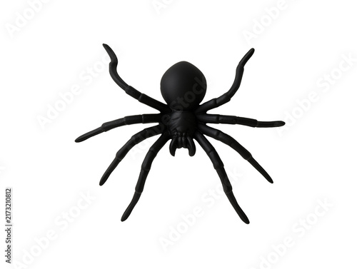 Halloween Spider — Isolated on Transparent Background