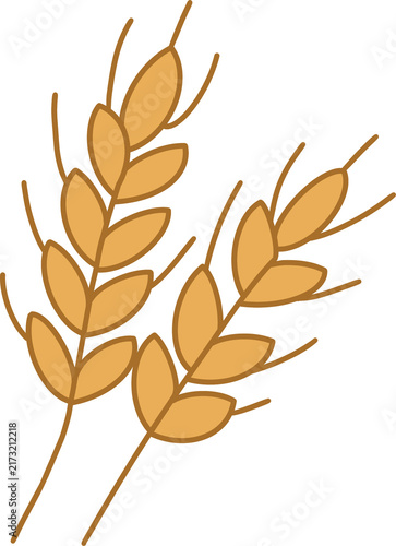 Wheat