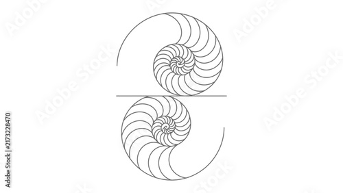 фотографія Nautilus Shell Spiral Geometry: A striking illustration showcasing the logarithmic spiral of a nautilus shell, mirrored to create a symmetrical pattern