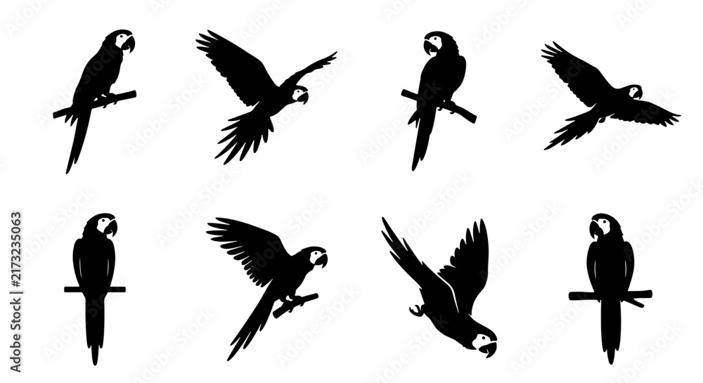 Fototapeta premium Macaw Parrot Silhouettes, Tropical Bird Vector Icons, Exotic Avian Poses, Wildlife Graphics