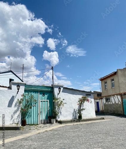Fotografie Turquoise gate and whitewashed walls brighten a quiet cobblestone street under clouds