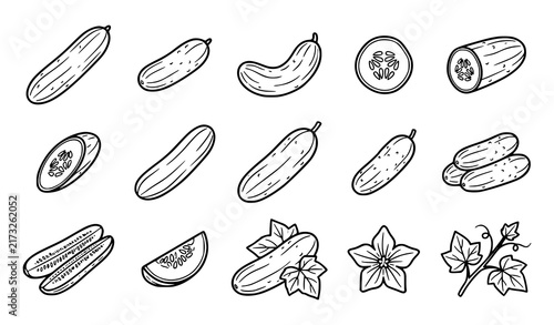SEO Title:
Fresh Cucumber Vegetable Slices Whole Fruit and Botanical Vector Collection