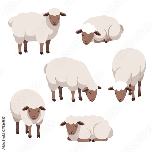 Assorted Collection Set of Loose Realistic Sheep Sketches