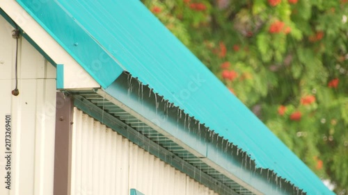 Rainwater slowly drips from the edge of a turquoise metal roof in slow motion against a blurred green garden.