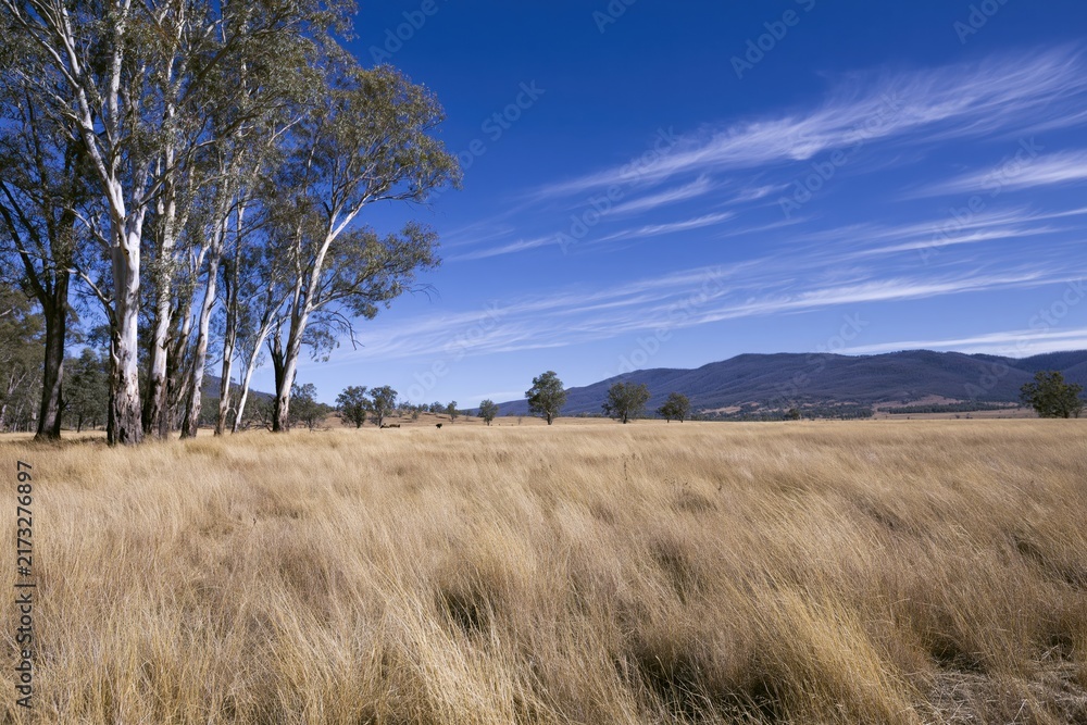 Naklejka premium The Grass Field Under a Bright Blue Sky with Distant Mountains