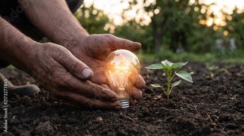 Farmer hands cradle glowing light bulb next to young plant in soil at sunrise symbolizing new ideas and growth