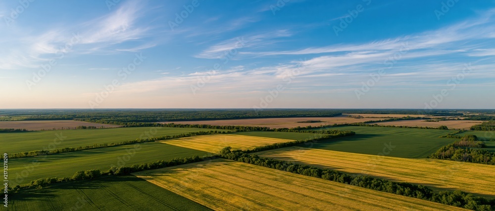 Naklejka premium The Expansive Farmland Landscape Under a Bright Summer Sky Over Harvested Fields