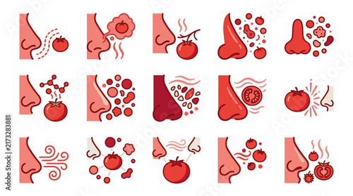 Clean Medical of Tomato Allergies and Nasal Reactions with Red Tomato and Nose Symbols with high quality professional line art symbols for modern creative design and digital branding projects