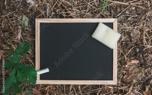 A blank chalkboard with a piece of chalk and an eraser placed on natural ground, surrounded by leaves and twigs, suggesting outdoor education or nature themed learning.
